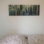 Apartment House Sant'orsola
