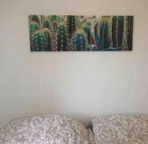 Appartamento House Sant’orsola